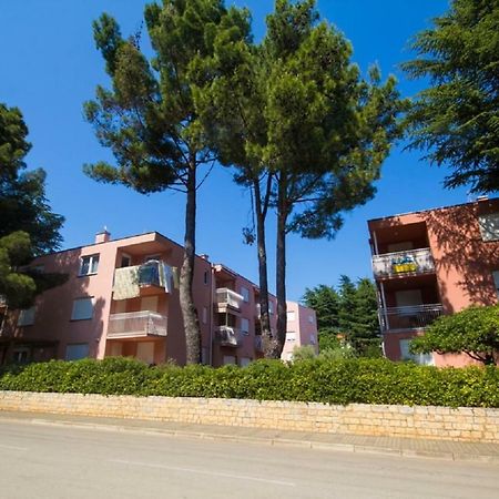 Roza Apartment Novigrad Istria Exteriör bild