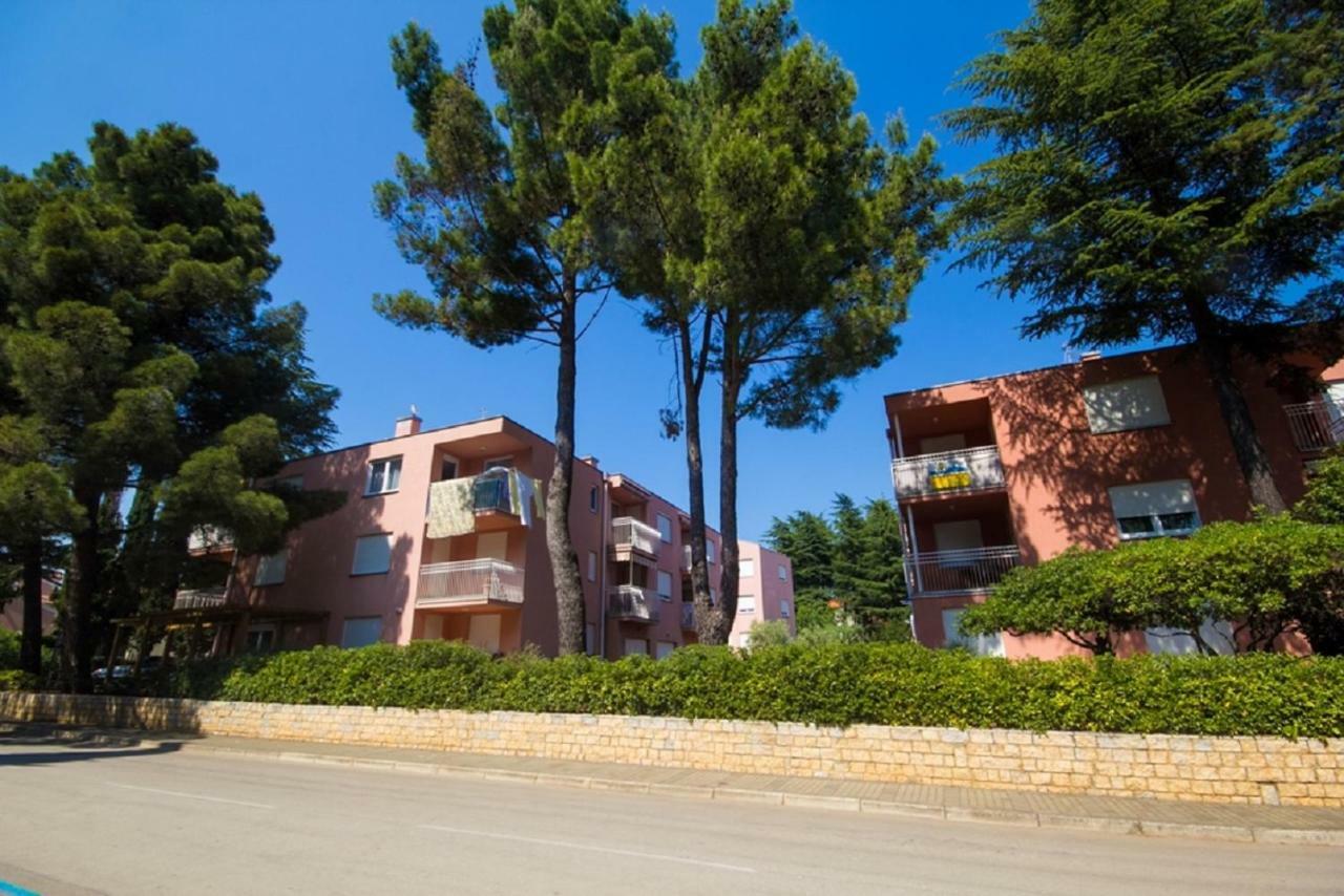 Roza Apartment Novigrad Istria Exteriör bild